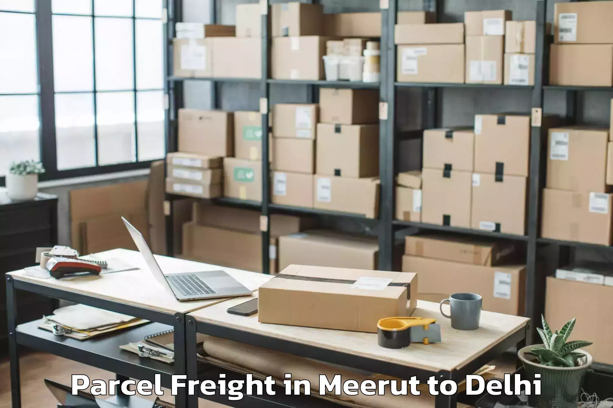 Quality Meerut to Ansal Crown Plaza Mall Parcel Freight